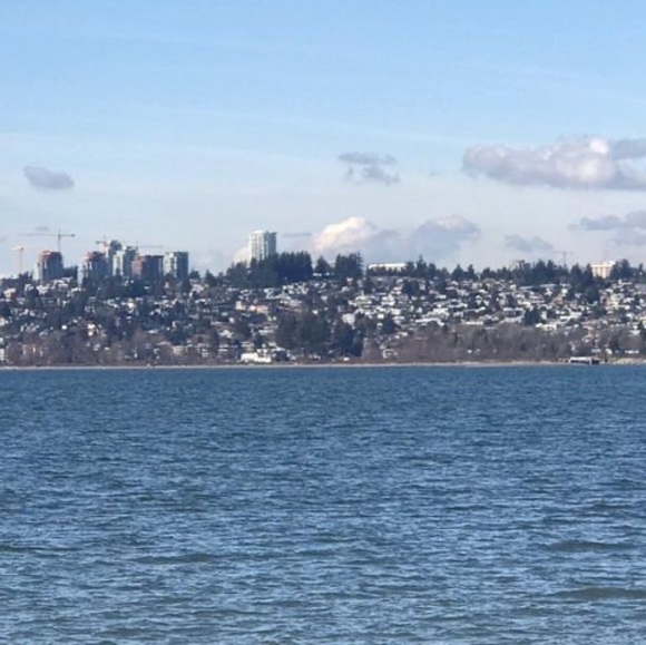 Meet your Posher, Ranjit - Picture 1 of 1